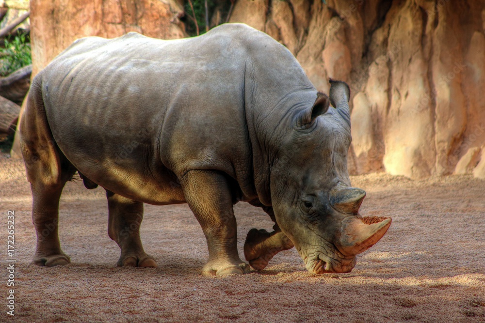 Fototapeta premium Spain