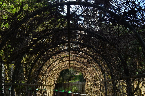 Arco de Plantas no Jardim Botânico de Curitiba