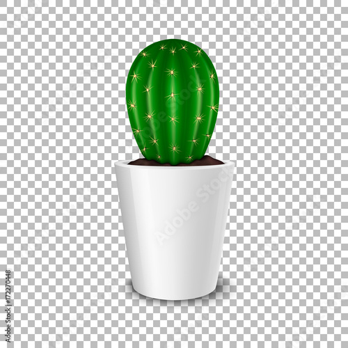 Realistic decorative cactus plant in white flower pot icon closeup isolated on transparent background. Design template, mockup. Stock vector. EPS10. photo