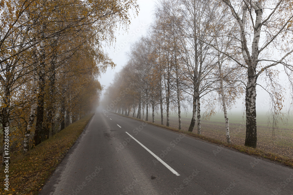 Asphalt road into the fog