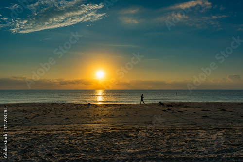 silhouette of person and dogs playing on the beach on a hot summer morning