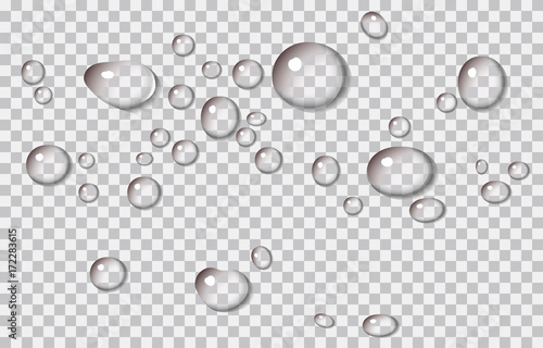 Realistic vector water droplets or dewy surface. Vector graphic on isolated transparent background. The droplets can be moved independently of each other. 