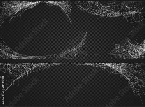 Fototapeta Halloweenowy wystrój, pająk pajęczyna, ręka rysująca wektorowa ilustracja.