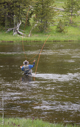 A fly fisherman standing waist deep in the Gibbon River. The orange fishing line is arcing overhead. Photographed in Yellowstone National Park. 
