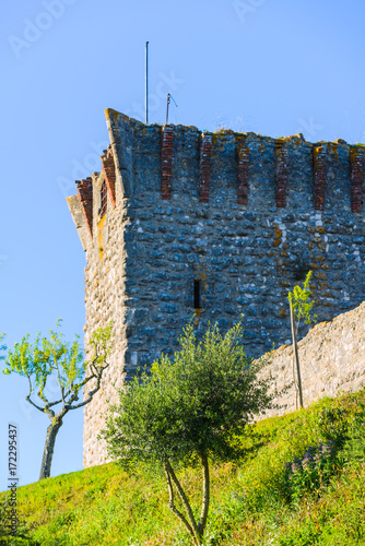 Stunning medieval castle of Ourem. Santarem District. Portugal. photo