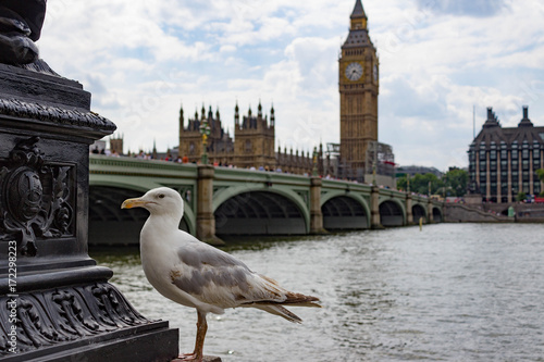 Landscape of a seagull sitting on a lamppost with a view Westminster Bridge, the Thames River, Big Ben and the Houses of Parliament.