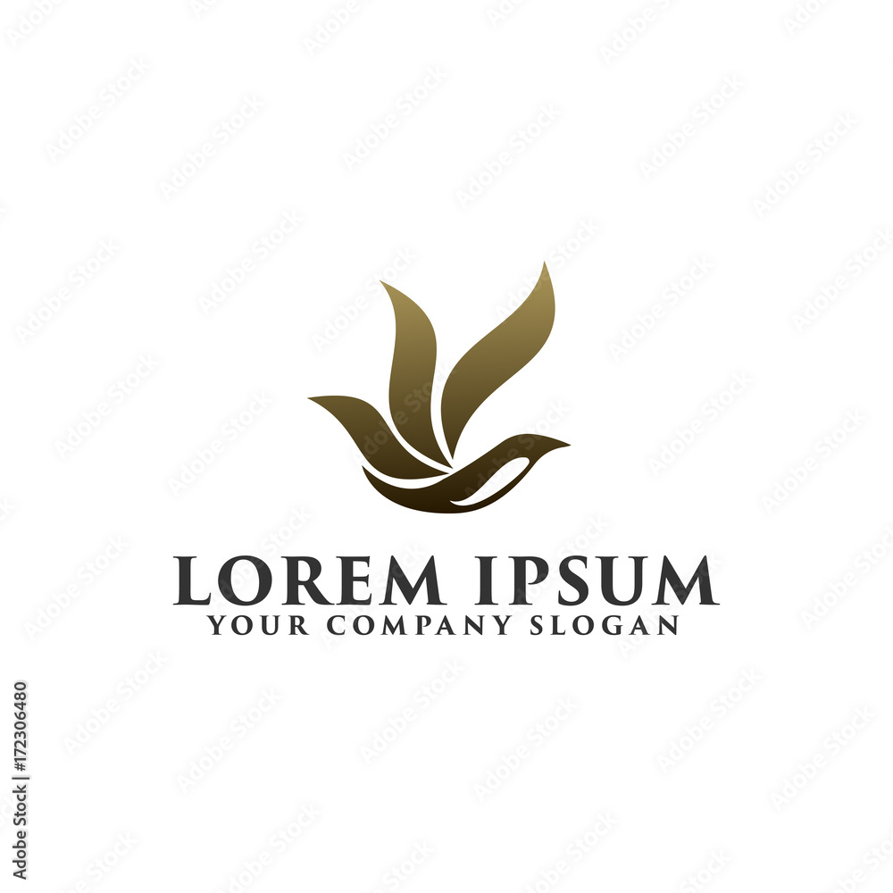 Fototapeta premium abstract bird Logo design concept template