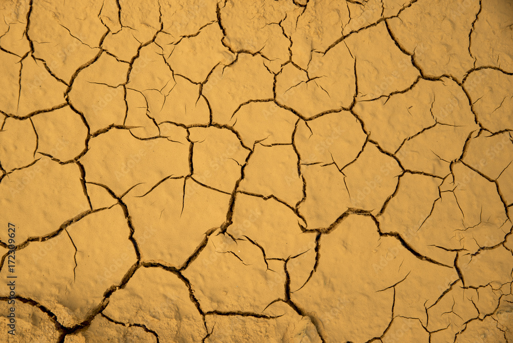 Dried cracked earth soil ground texture background. Mosaic pattern of sunny dried earth soil Dried cracked earth soil ground texture background. Mosaic pattern of sunny dried earth soil