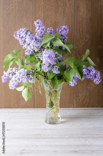 Wallpaper Mural flowers Torontodigital.ca