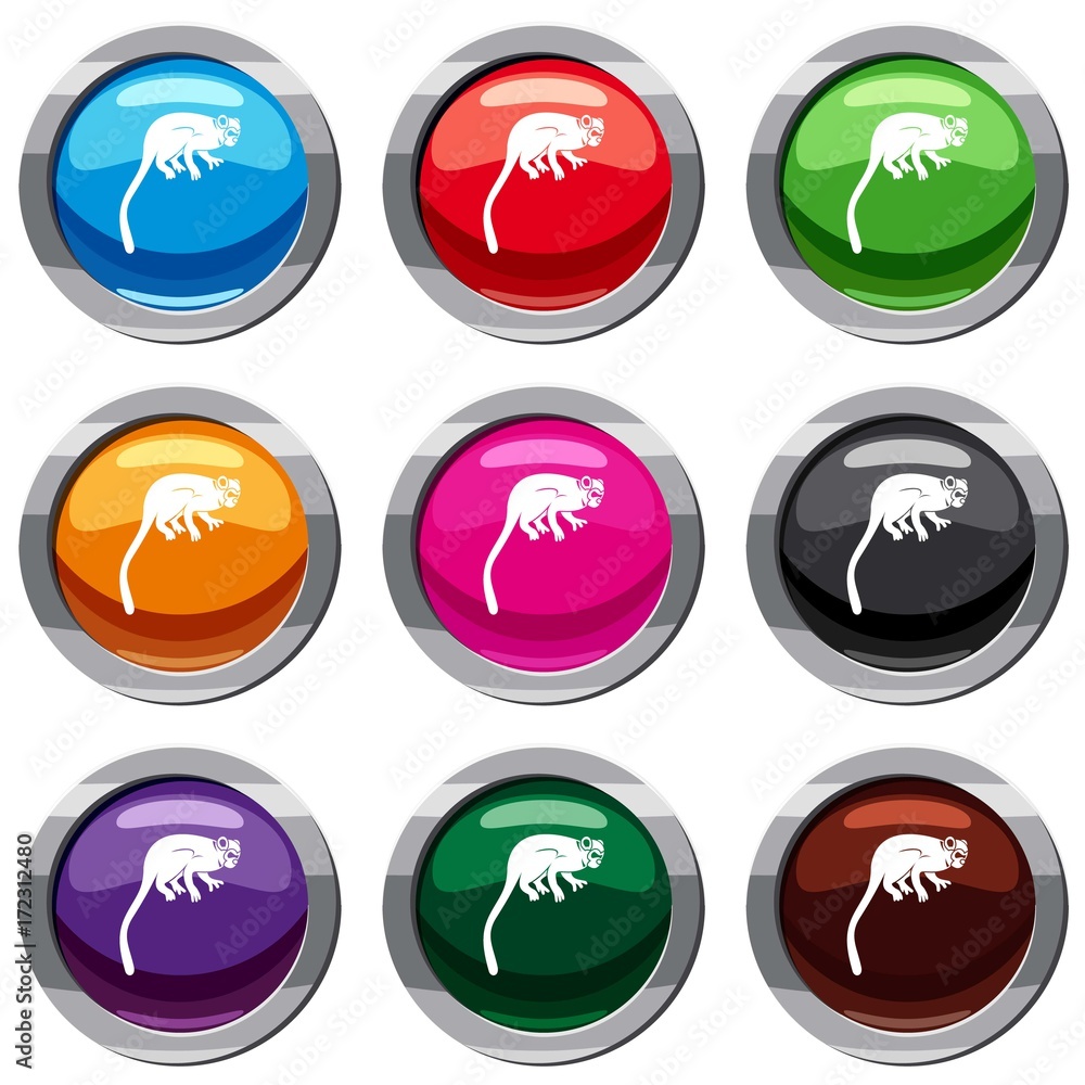 Marmoset monkey set 9 collection