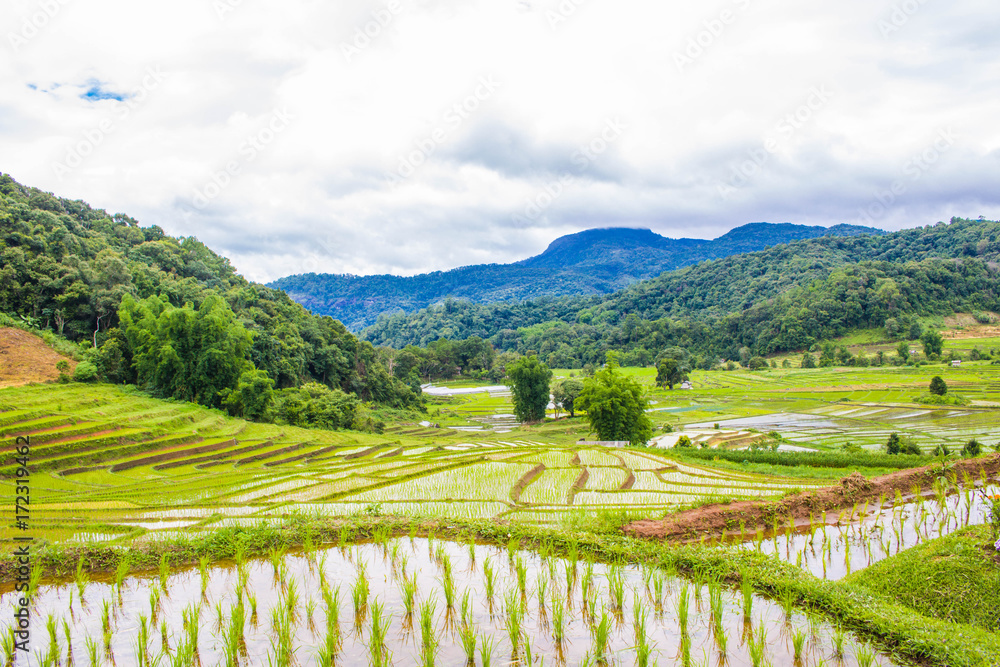 terraced Rice fields on the hill In the Rainy season with blue Cloud sky background