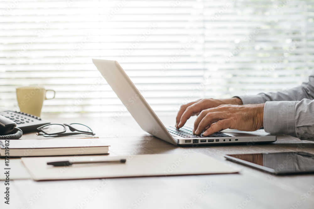 Fototapeta premium Corporate businessman working with a laptop