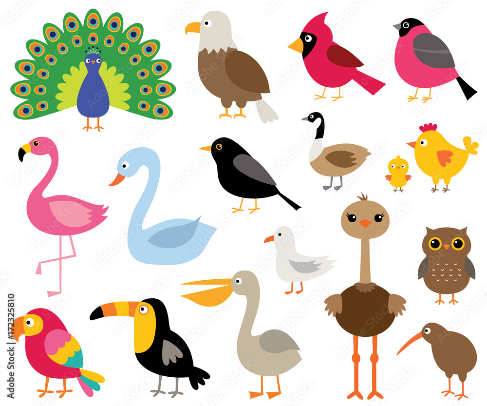 Naklejka premium Kreskówka ptaki, zestaw ilustracji na białym tle