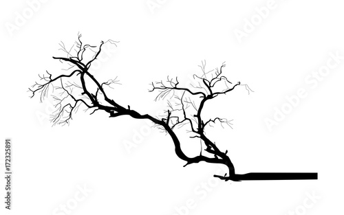 Tree Branch Vector Silhouette - clip-art cartoon vector