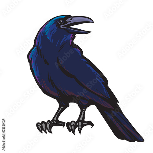Black crow.