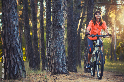 cyclist cycling mountain bike on Pine forest trail