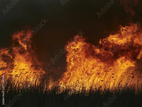 big flames on field during fire