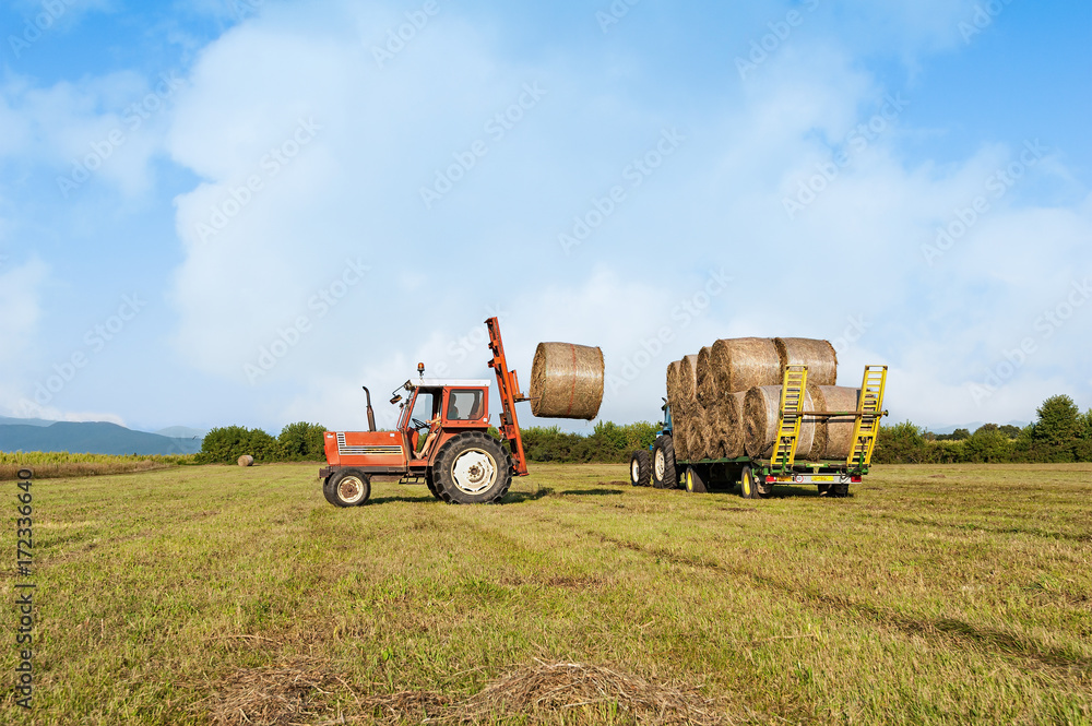 Obraz premium Agricultural scene. Tractor lifting hay bale on barrow.