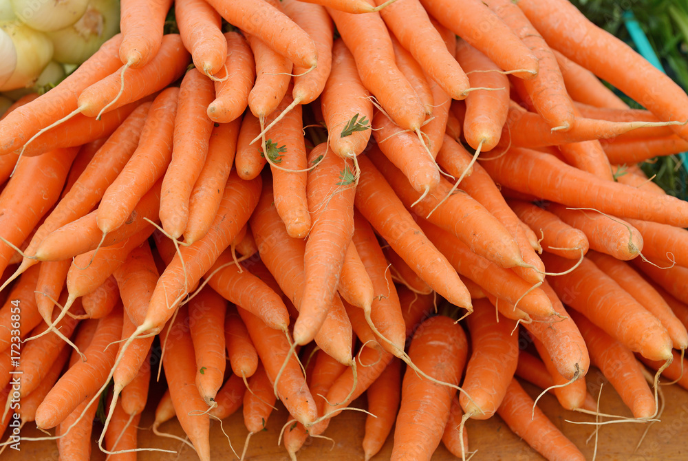 Сarrot (Daucus carota subsp. sativus) is root vegetable, usually orange in colour Сarrot (Daucus carota subsp. sativus) is root vegetable, usually orange in colour