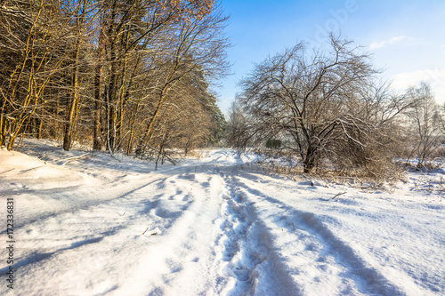 Winter landscape with snow on path through forest