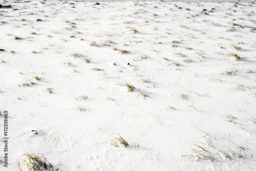 Field covered snow, winter background Field covered snow, winter background