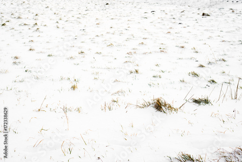 Field covered snow, winter background © alicja neumiler