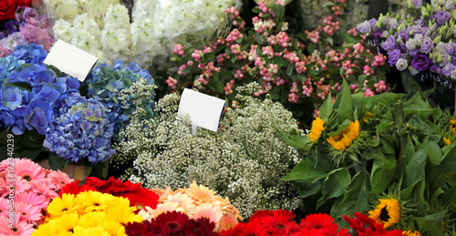 Obraz na plátně flower bouquets for sale