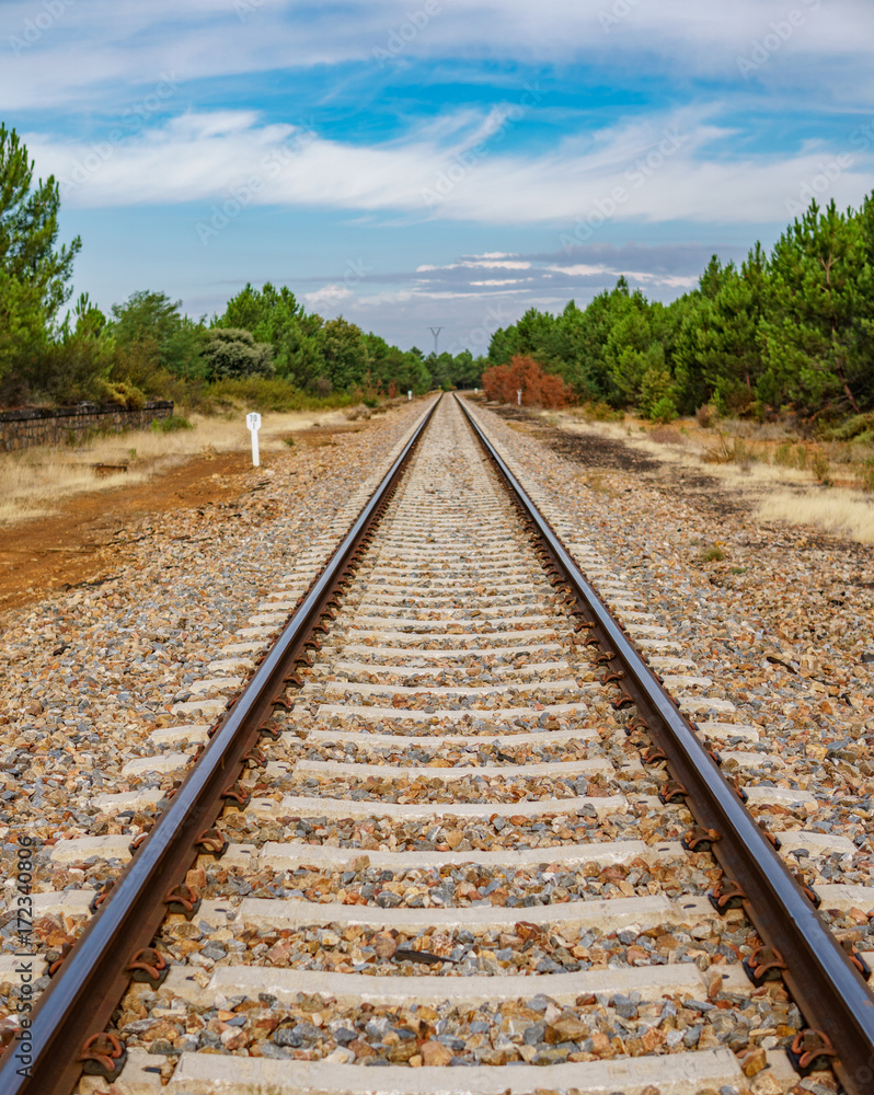 railway in the wild perspective