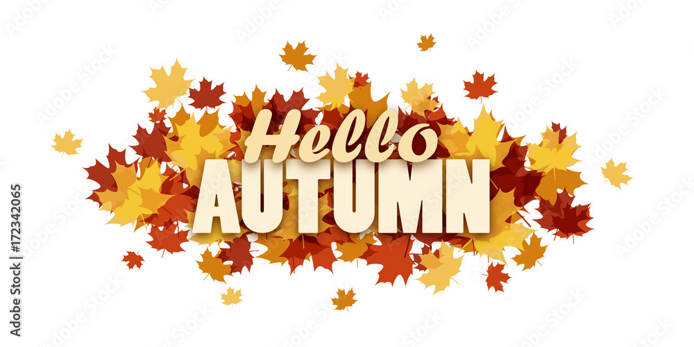 Fototapeta premium HELLO AUTUMN banner with leaves