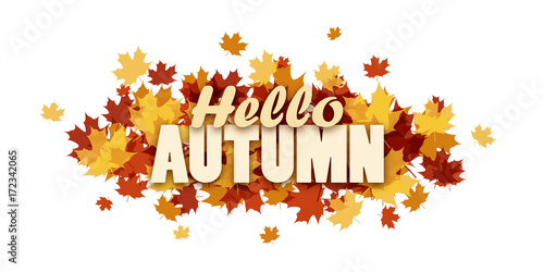 HELLO AUTUMN banner with leaves