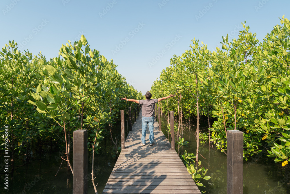 Asian man enjoying view nature of mangrove field on walkway made from wood in Rayong province,Thailand.