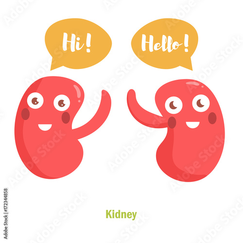 Vector cartoon kidney