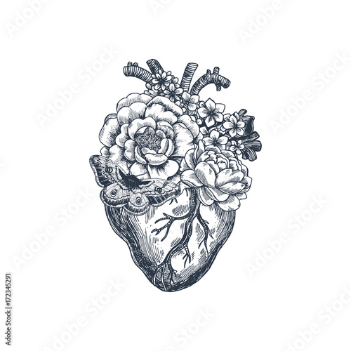 Tattoo anatomy vintage illustration. Floral anatomical heart. Vector illustration