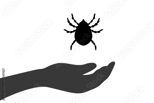 Hand hält Zecke
