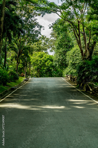 Asphalt country road