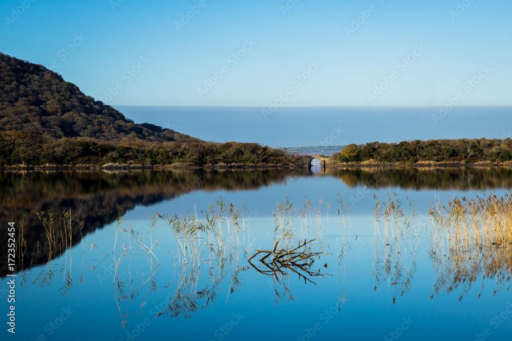 Kerry lake reeds