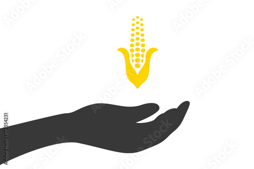 Hand hält Mais