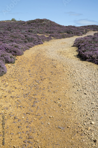 Track in Parys Mountain Copper Mine; Amlwch; Anglesey; Wales photo