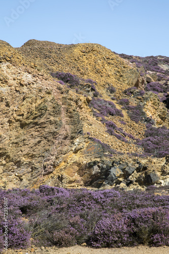 Parys Mountain Copper Mine; Amlwch; Anglesey; Wales photo