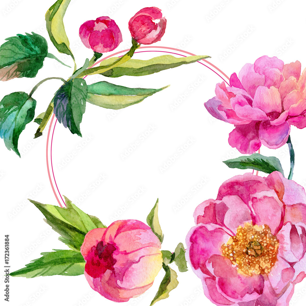 Wildflower peonies flower frame in a watercolor style. Full name of the plant: pink peonies. Aquarelle wild flower for background, texture, wrapper pattern, frame or border. Wildflower peonies flower frame in a watercolor style. Full name of the plant: pink peonies. Aquarelle wild flower for background, texture, wrapper pattern, frame or border.