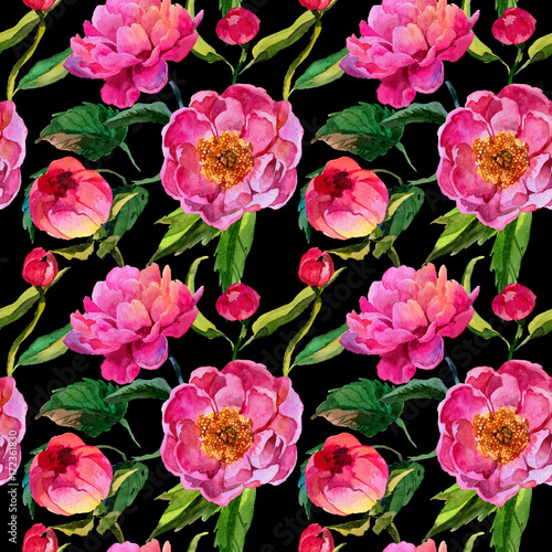 Wallpaper Mural Wildflower peonies flower pattern in a watercolor style. Full name of the plant: pink peonies. Aquarelle wild flower for background, texture, wrapper pattern, frame or border. Torontodigital.ca