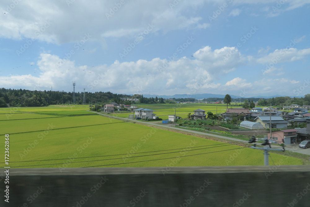 東北新幹線　窓からの景色