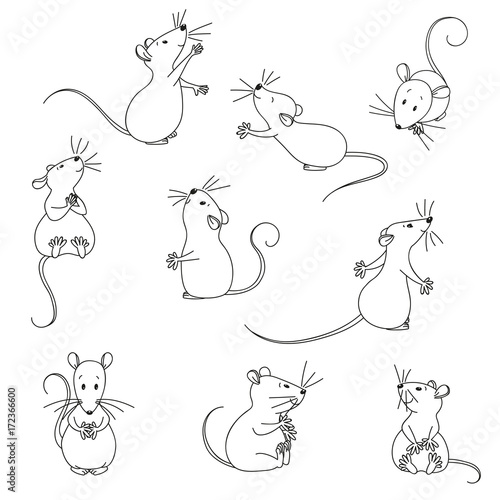 Funny, lovely mice.