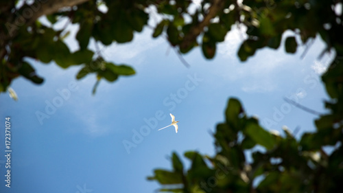 Seychelles, 2017