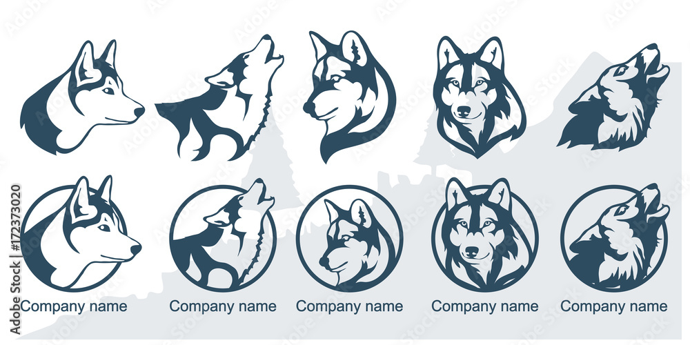 Naklejka premium Wolf logo