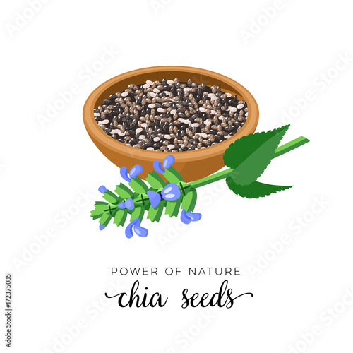 Superfood fruit. Chia seeds and branch with leaves and flowers. Vector illustration cartoon flat icon isolated on white.