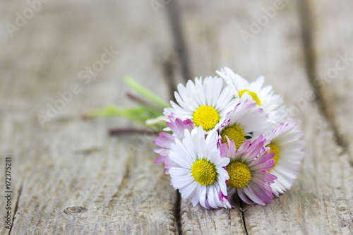 Fototapeta Naklejka Na Ścianę i Meble -  daisies on wooden background