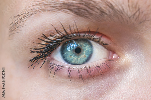 Image of a blue human eye