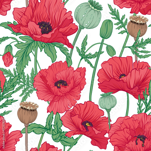 Seamless pattern, background with red opium poppy. Stock  vector