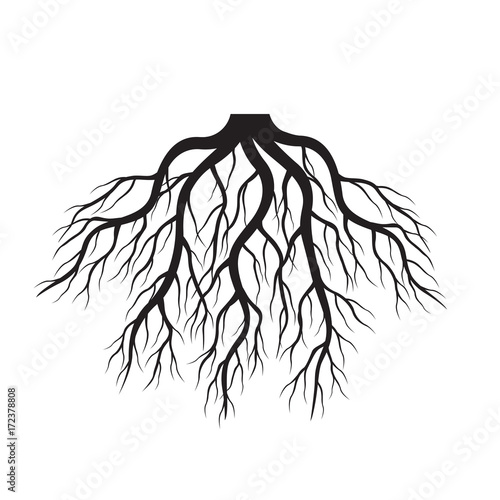 Black Roots. Vector Illustration.
